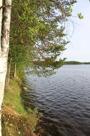 Фото номера Дом с 3 спальнями Шале Keitaanniemen lomamökki г. Haapamäki 44