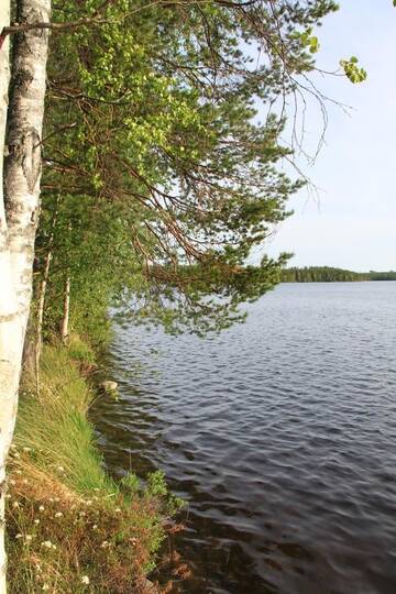 Фото номера Дом с 3 спальнями Шале Keitaanniemen lomamökki г. Haapamäki 33